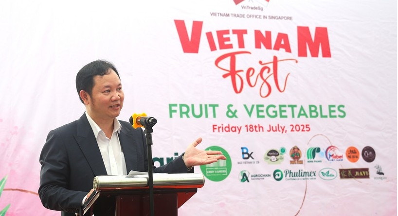 Vietnam-Singapore trade maintains strong upward trend